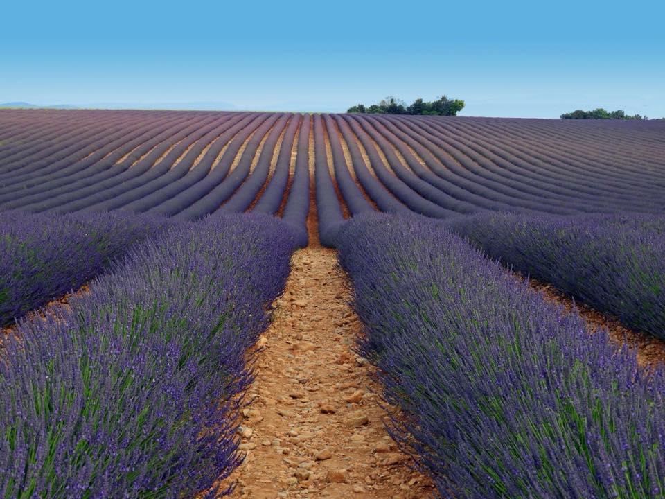 Le Trésor Des Templiers 4*